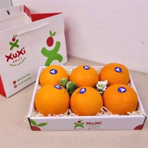 Hộp quà tặng trái cây Xuxi - XH001