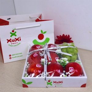 Hộp quà tặng trái cây XuXi - XH009