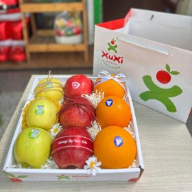Hộp quà tặng trái cây Xuxi - XH019 (Hộp)