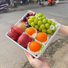 Hộp quà tặng trái cây Xuxi - XH020 (Hộp)