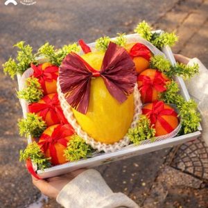 Hộp quà tặng trái cây XuXi - XH024 (Hộp)