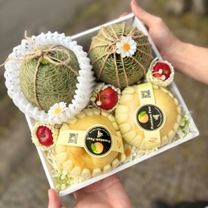 Hộp quà tặng trái cây Xuxi - XH002