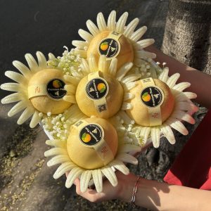 Hộp quà tặng trái cây XuXi - XH006