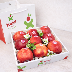 Hộp quà tặng trái cây Xuxi – XH007