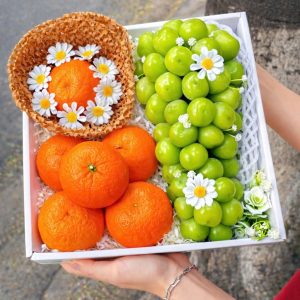 Hộp quà tặng trái cây XuXi XH012