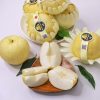 Lê sữa Hàn Quốc S32