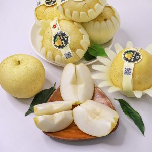 Lê sữa Hàn Quốc S32