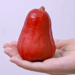Mận đỏ An Phước