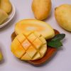 Xoài cát chu Hòa Lộc (kg)