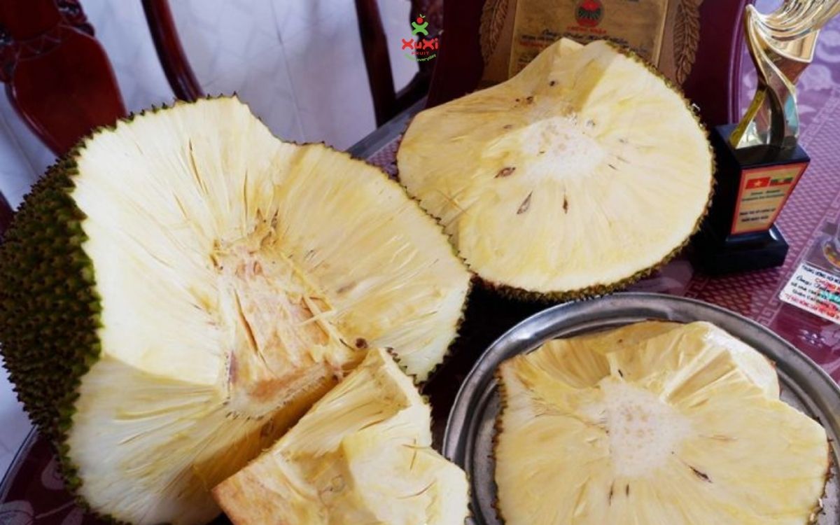 các loại mít thái