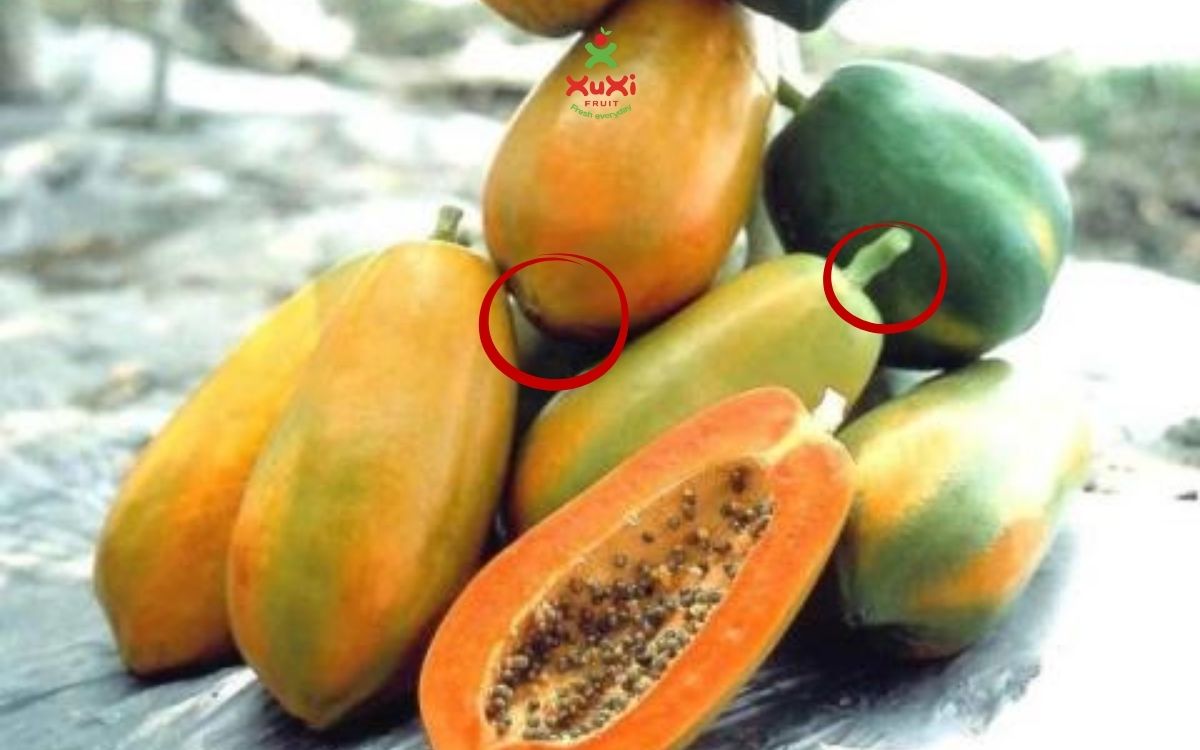 cách chọn đu đủ chín cây