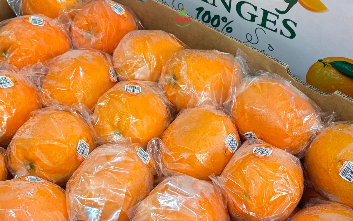 giỏ trái cây 400k