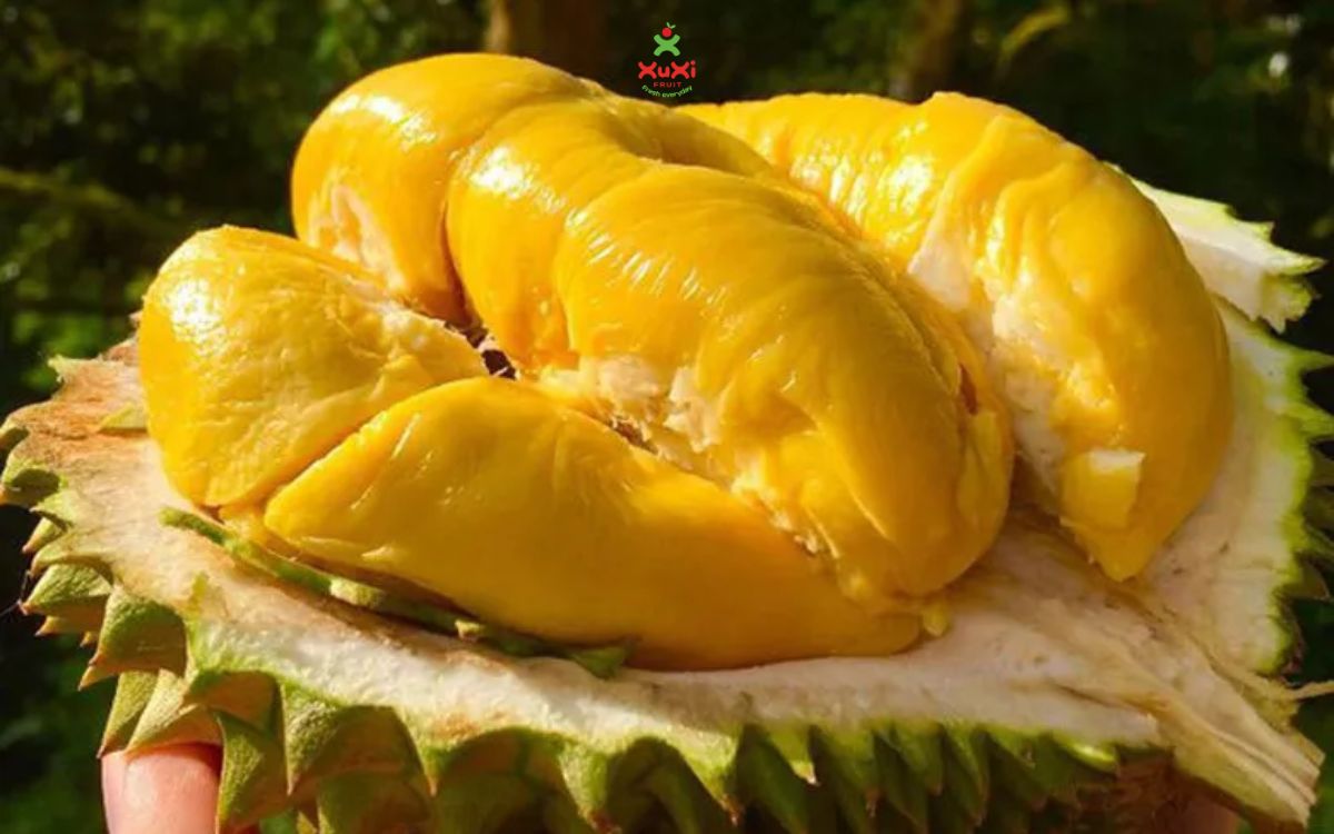 trái cây nhiều calo