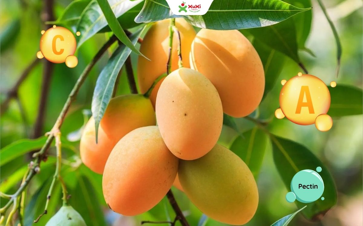 1 quả xoài bao nhiêu calo