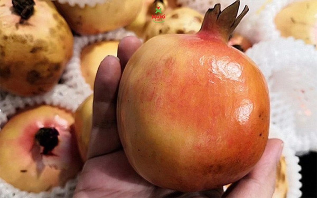 cách chọn quả lựu ngon