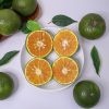 cam sành ngọt, mọng nước XuXi Fruit