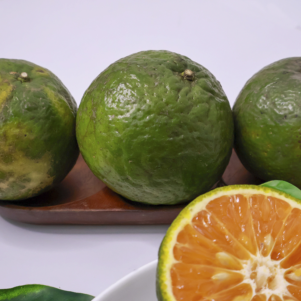 cam sành ngọt, mọng nước XuXi Fruit