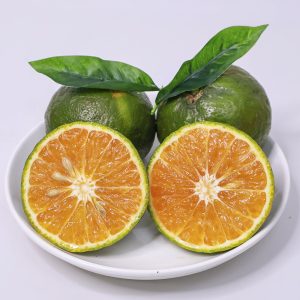 cam sành ngọt, mọng nước XuXi Fruit
