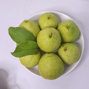 Ổi nữ hoàng giòn ngọt, giá tốt XuXi Fruit