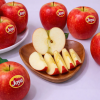 Táo đỏ JoYa Nam Phi ngon, giá tốt XuXi Fruit