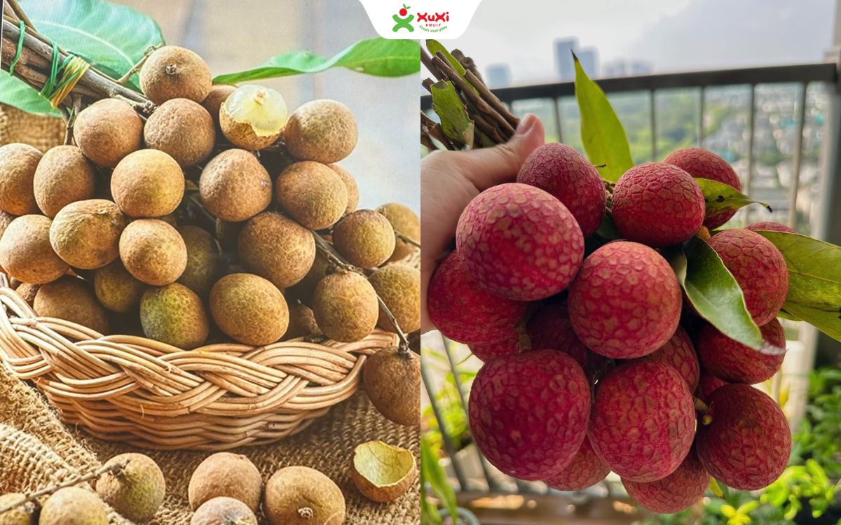 các loại trái cây ít đường