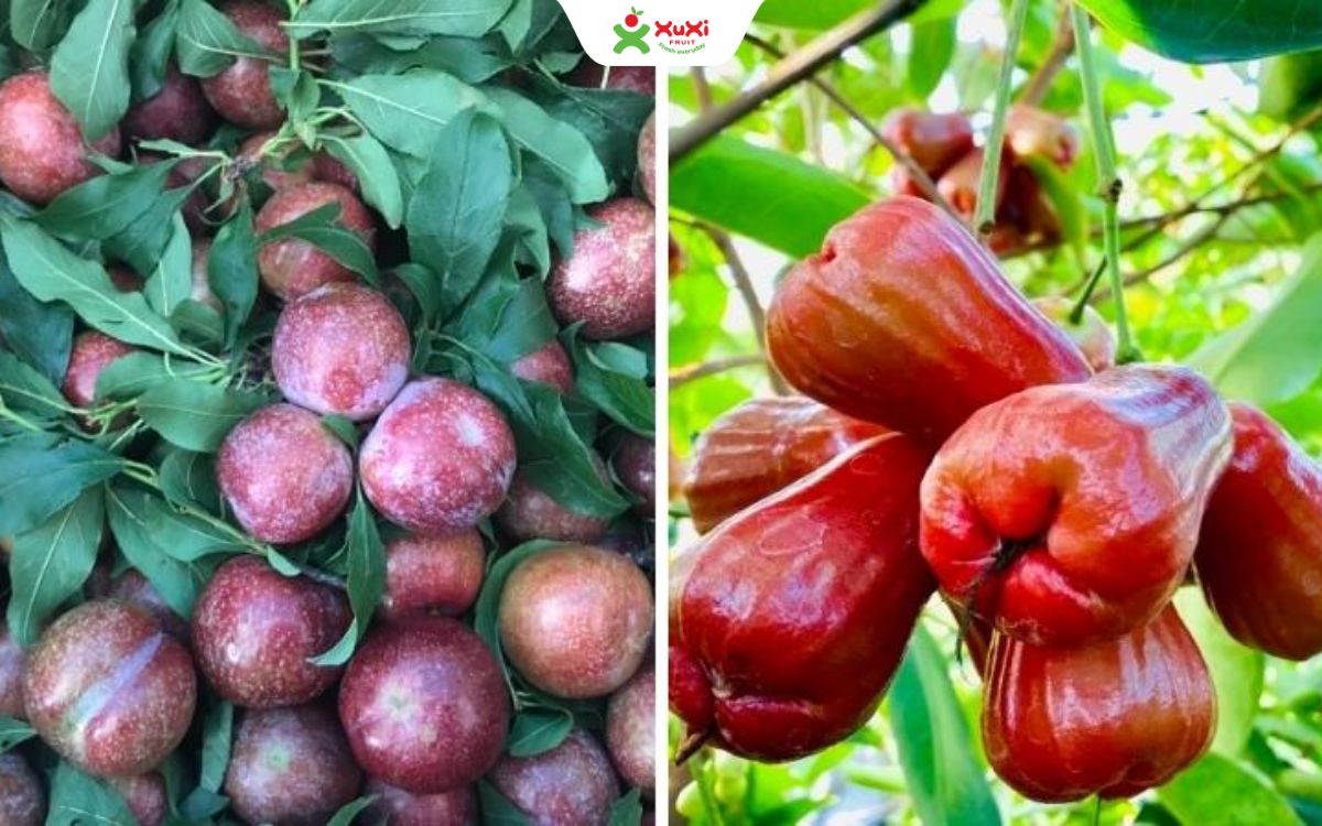 1 quả mận bao nhiêu calo
