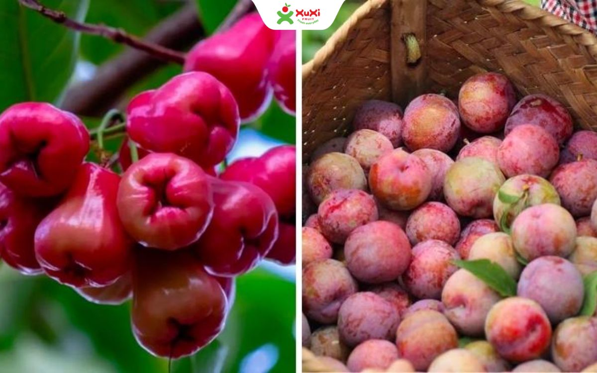 1 quả mận bao nhiêu calo