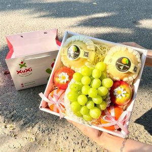 Hộp quà tặng trái cây Xuxi – XH030 (Hộp)