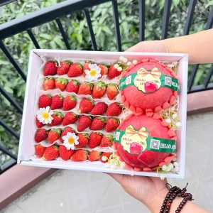Hộp quà tặng trái cây Xuxi – XH028 (Hộp)