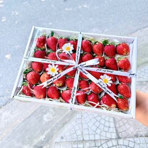 Hộp quà tặng trái cây Xuxi – XH029 (Hộp)