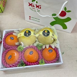 Hộp quà tặng trái cây Xuxi – XH031 (Hộp)