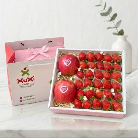 Hộp quà tặng trái cây Xuxi - XH028 (Hộp)