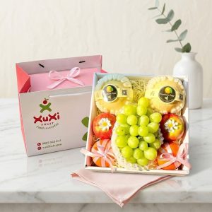Hộp quà tặng trái cây Xuxi – XH030 (Hộp)
