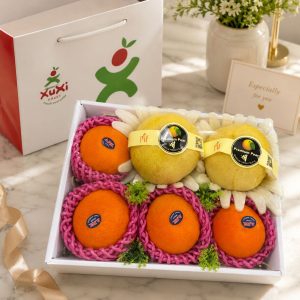Hộp quà tặng trái cây Xuxi – XH031 (Hộp)