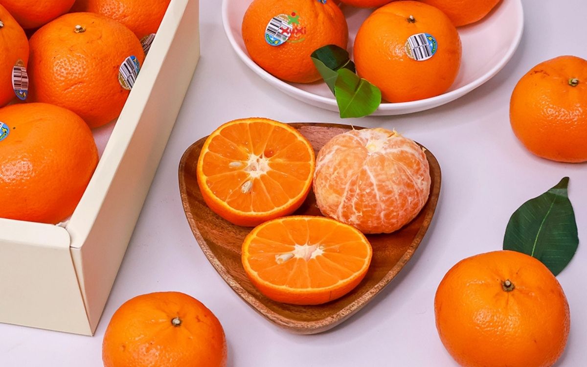 trái cây nhập khẩu