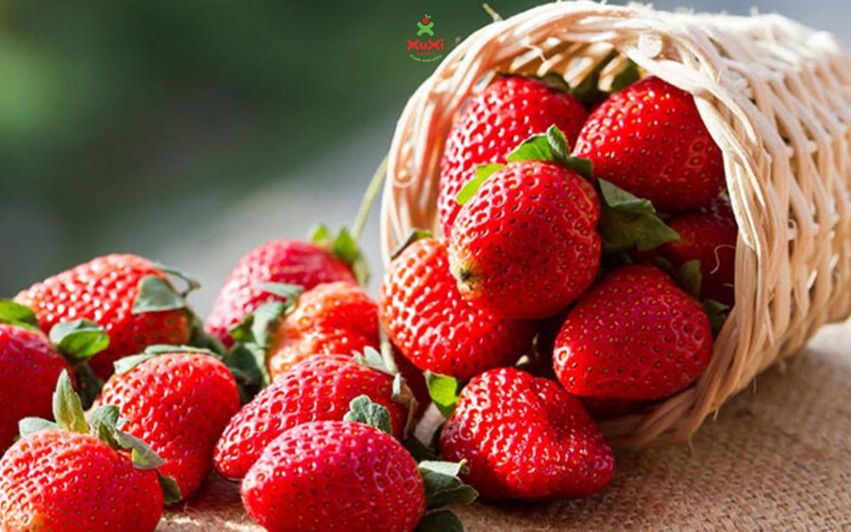trái cây tốt cho người tiểu đường